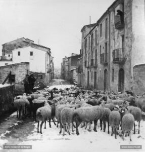 El carrer Nou de Santa Clara, vist des de l'alçada de la creu del Tort, en un hivern nevat dels anys vint del segle passat. Un ramat d'ovelles acaba de tornar de la pastura.
Procedència: Arxiu Jaume Pons i Agulló